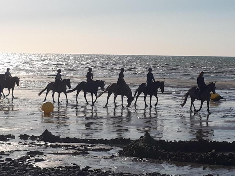 Kro Criel-sur-Mer Zewnętrze zdjęcie